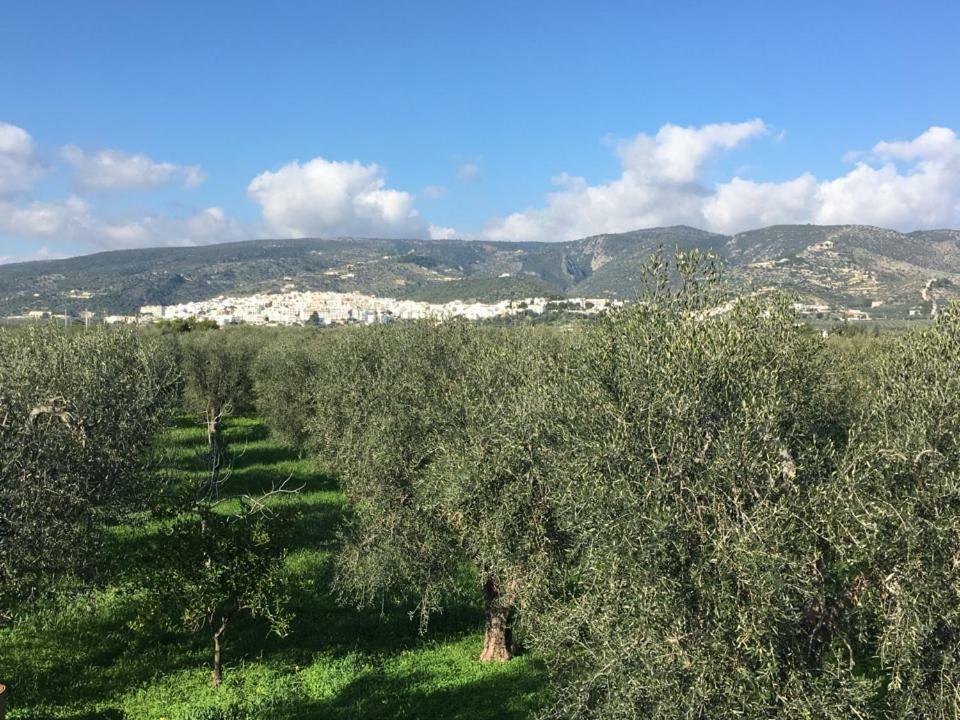 Casa Maresole Βίλα Mattinata Εξωτερικό φωτογραφία
